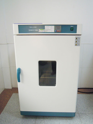 Attrezzatura di prova di laboratorio, forno di essiccazione elettrotermico di scoppio